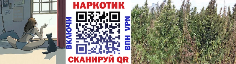 Магазины продажи наркотиков Наволоки Альфа ПВП Галлюциногенные грибы ГАШ Cocaine Кодеин Меф мяу мяу
