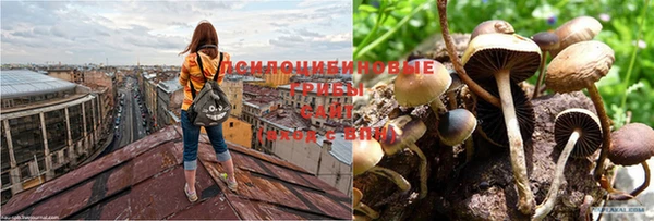 кокс Баксан