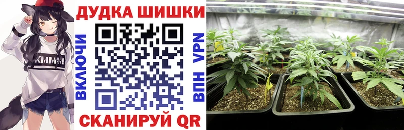 Бошки Шишки конопля  kraken ссылки  Наволоки  наркотики 